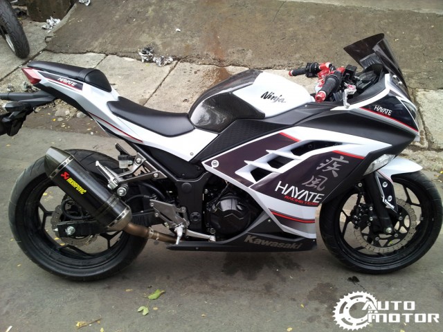 modified-ninja250R-2013