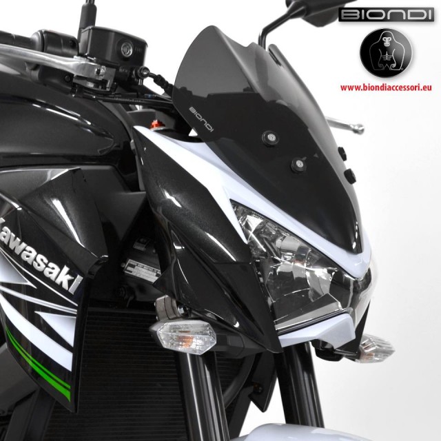 BiondiWindscreen-KawasakiZ800-003