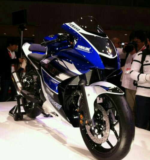 wpid-2014YamahaR25.jpg