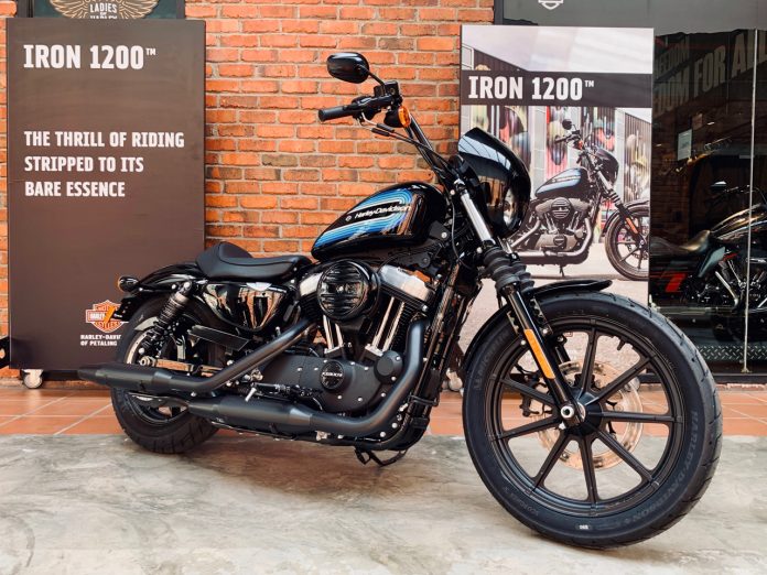 Harley Davidson Iron 1200 Bobber / ️CHECK OUR STORE ️ 💀 👉🏽